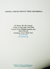 paper