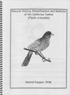 Rehabilitation of Towhees by Astrid Kasper