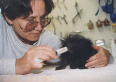 Dr. Jan White, DVM